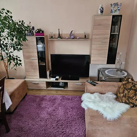 Ubytování v soukromí Na Gdanskim Wzgorzu *